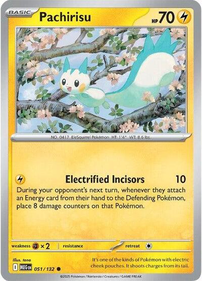 Pachirisu - Front