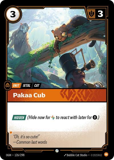 Pakaa Cub - Front