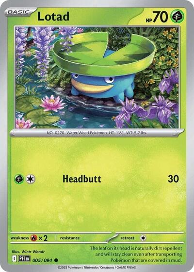 Lotad - Front