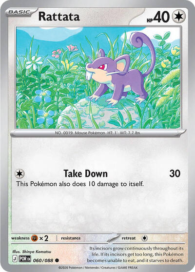 Rattata - Front