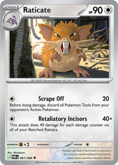 Raticate - Front
