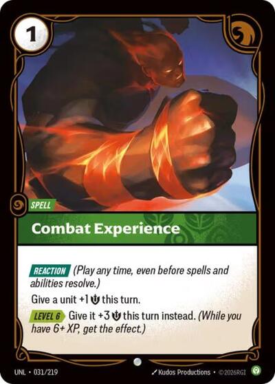 Combat Experience - Front
