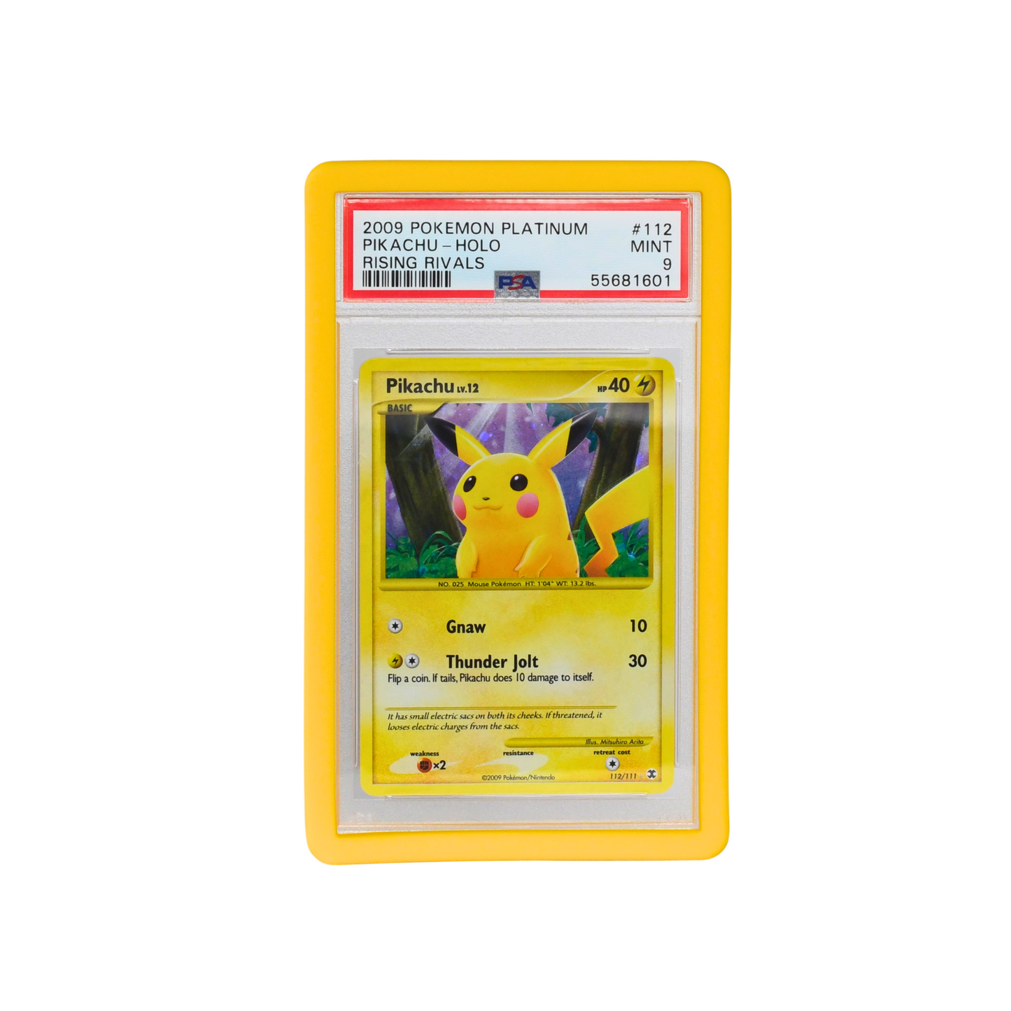 Guardian Bumper - PSA Style